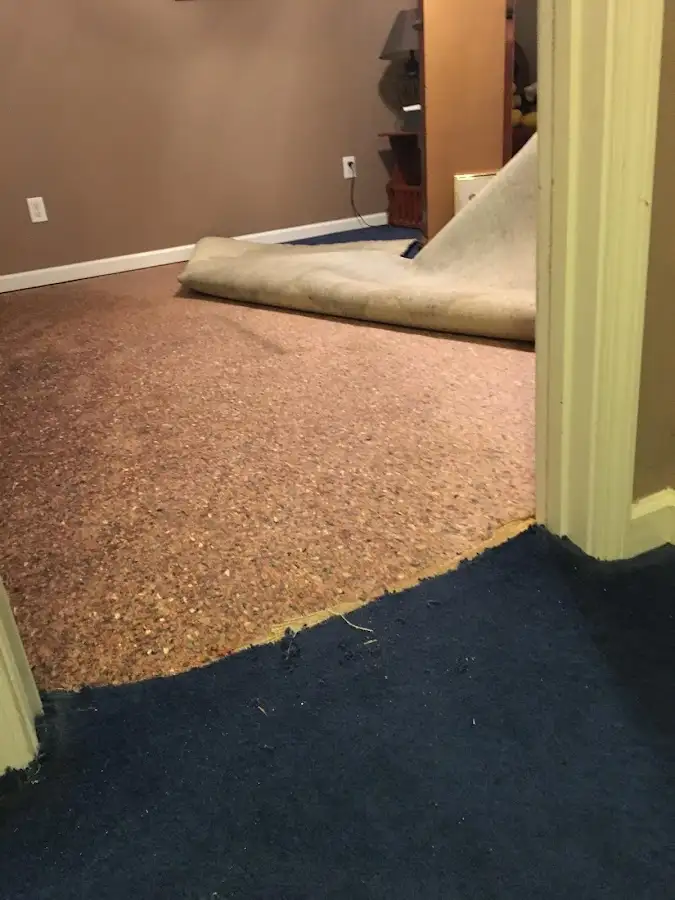 Carpet pad removal revealing water damage during Water Mitigation Services in Sandusky