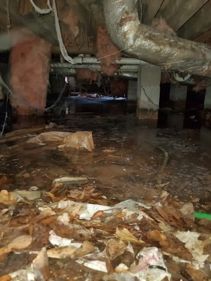 Crawl space flood assessment for Leak Detection & Repair in Sandusky