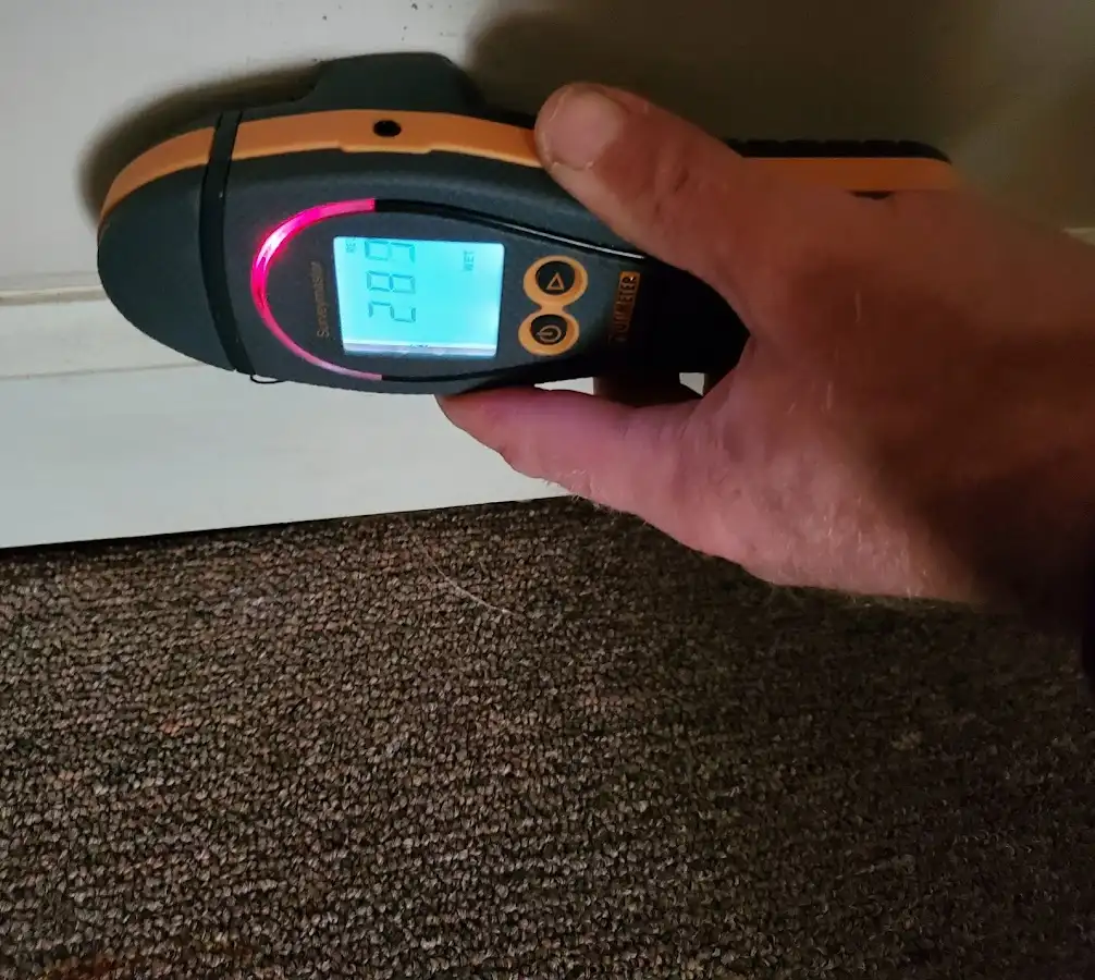 Moisture detection at baseboard during Sewage Cleanup & Sanitation in Sandusky